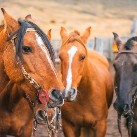 Estancia Nibepo Aike Colonia Francisco Perito Moreno Kültér fotó