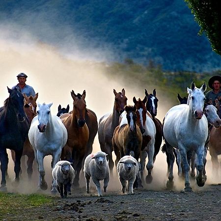 Estancia Nibepo Aike Colonia Francisco Perito Moreno Kültér fotó