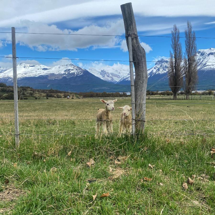 Estancia Nibepo Aike Colonia Francisco Perito Moreno Kültér fotó