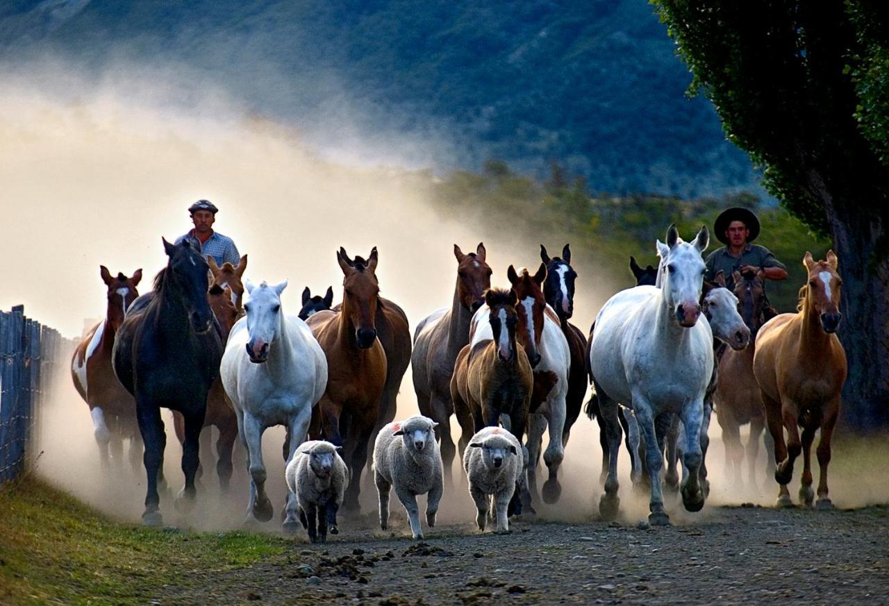 Estancia Nibepo Aike Colonia Francisco Perito Moreno Kültér fotó